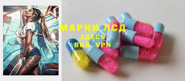 прущие грибы Наволоки