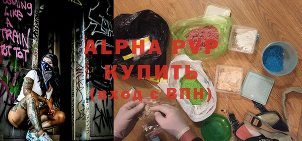 прущие грибы Наволоки