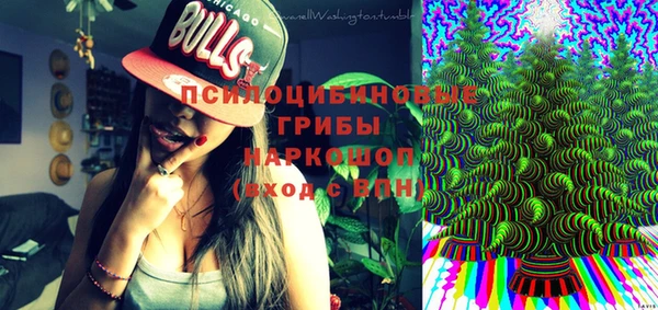 ГАЛЛЮЦИНОГЕННЫЕ ГРИБЫ Надым