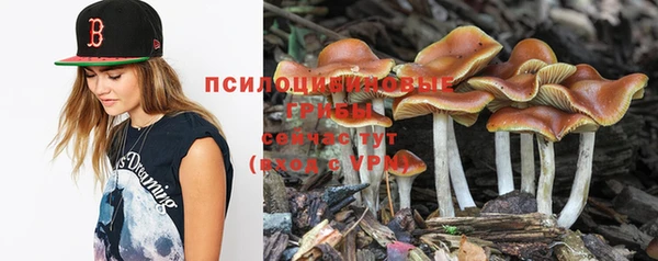 ГАЛЛЮЦИНОГЕННЫЕ ГРИБЫ Надым