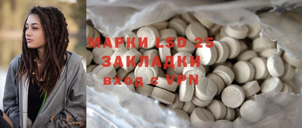 ГАЛЛЮЦИНОГЕННЫЕ ГРИБЫ Надым