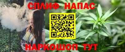 амф Донской