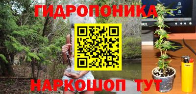 наркотики Дубна
