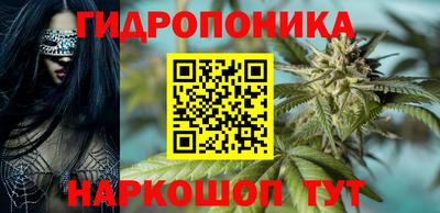 амф Донской