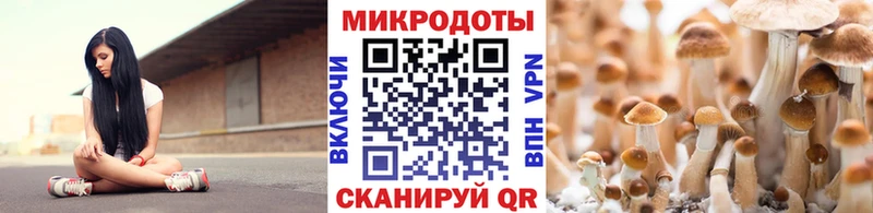 магазин    Клин  Галлюциногенные грибы Magic Shrooms 